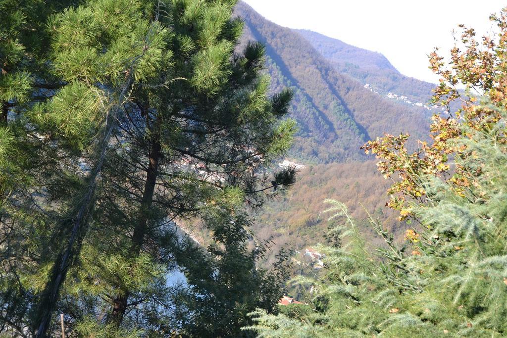 Toscana Nord Ovest - Tra La Costa Apartments Albiano Magra المظهر الخارجي الصورة